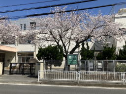 �����񍐎ʐ^